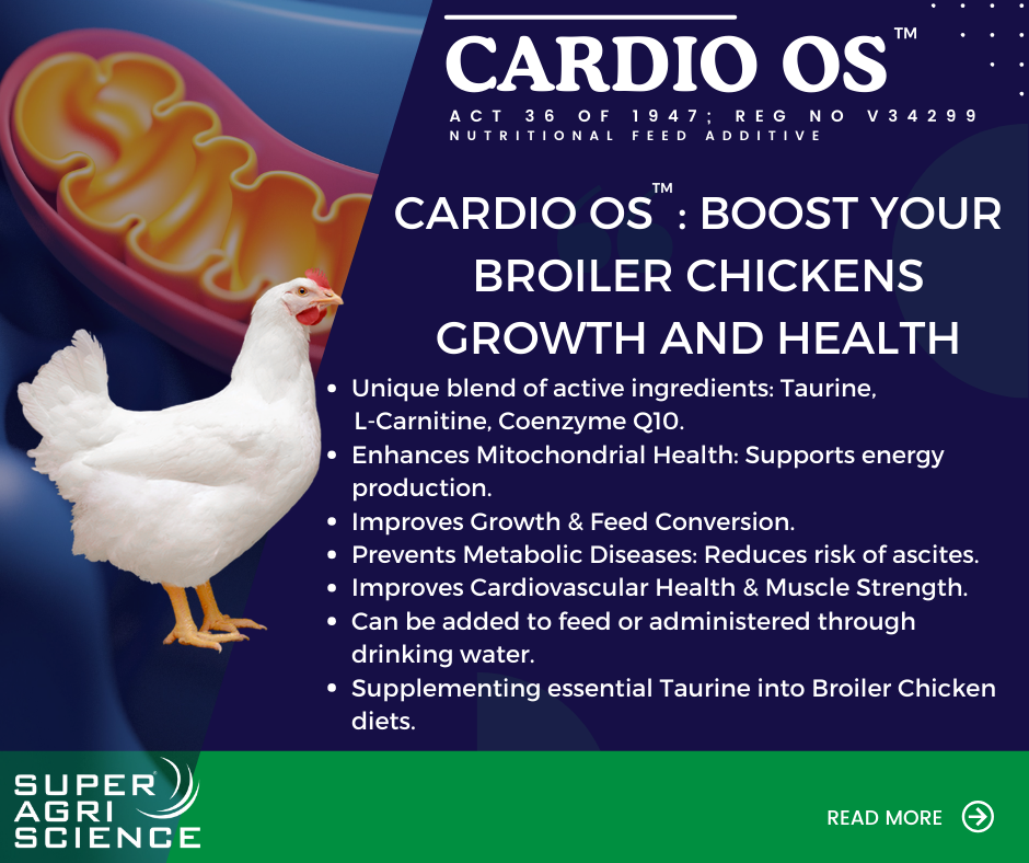 Cardio Os™ and mitochondrial health in poultry