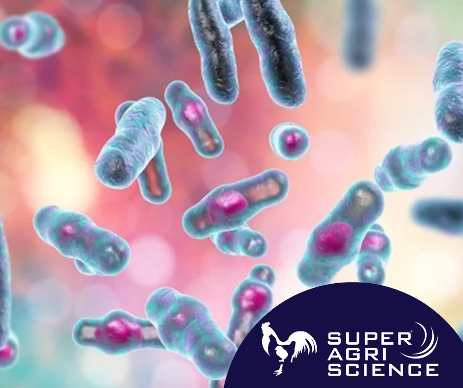 First line of defense and non antibiotic growth promotion newsletter