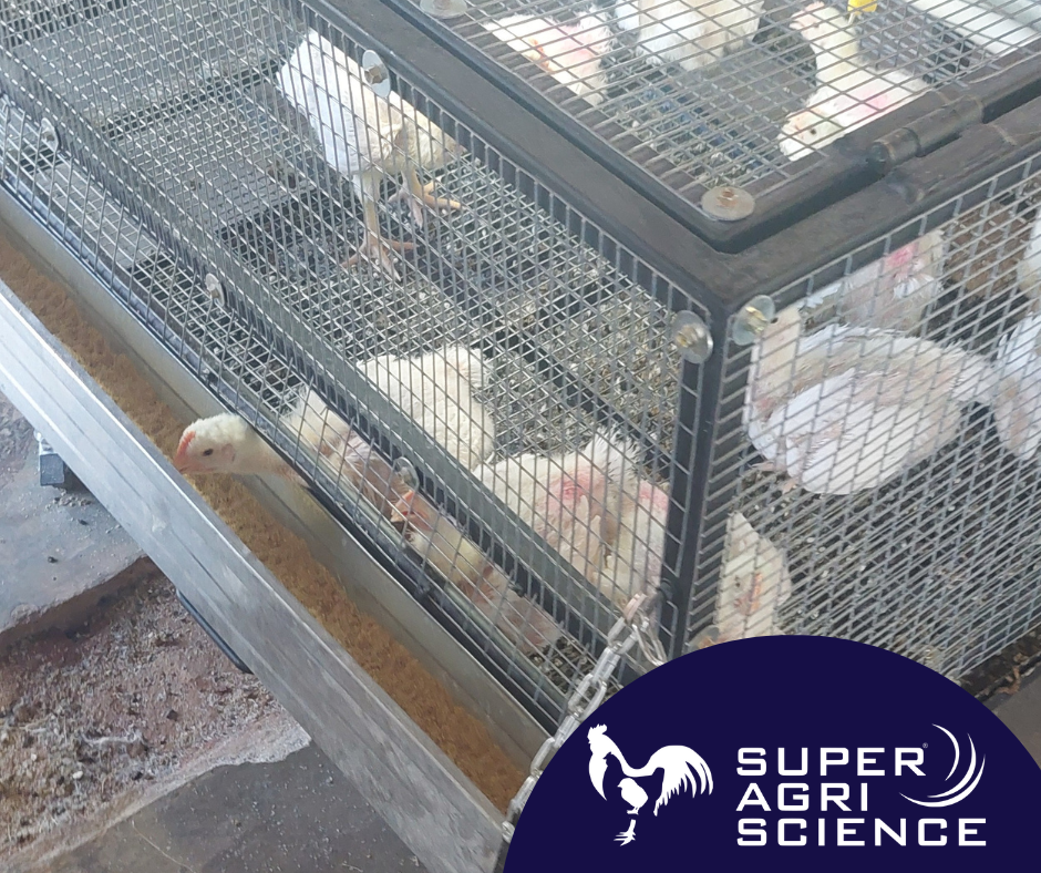 Super Agri Science® Poultry Research and Development Facility